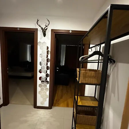 Snow & Swing D10 In Terra Complex Near Bansko Апартаменты Разлог